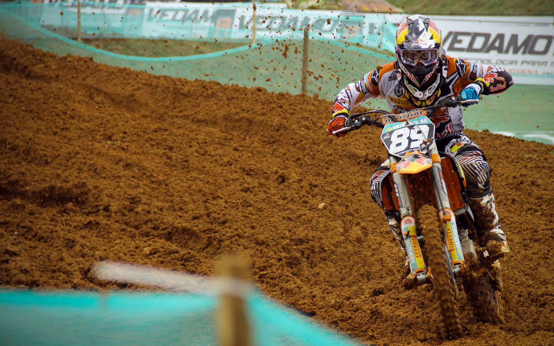 戈贝尔的救赎，当森林狼的沉默巨人撕碎国王的傲慢